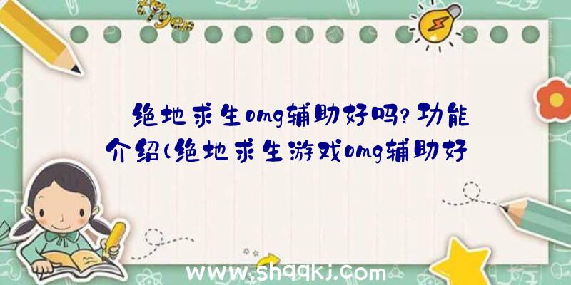 绝地求生omg辅助好吗？功能介绍（绝地求生游戏omg辅助好么？）